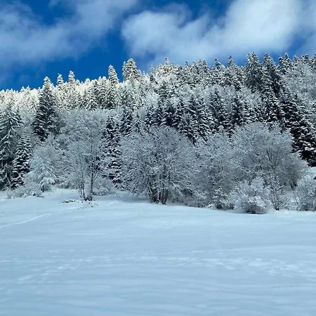 Lejlighed 2 Personnes Avec Parking