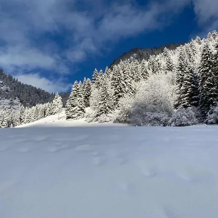Apartamento 2 Personnes Avec Parking