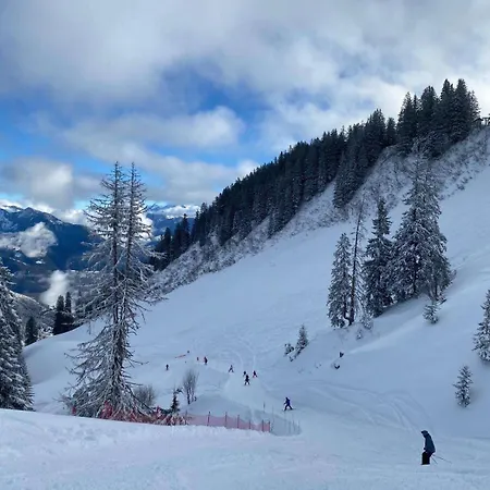 2 Personnes Avec Parking Lejlighed Vionnaz