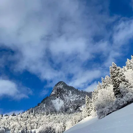 Apartamento 2 Personnes Avec Parking Vionnaz