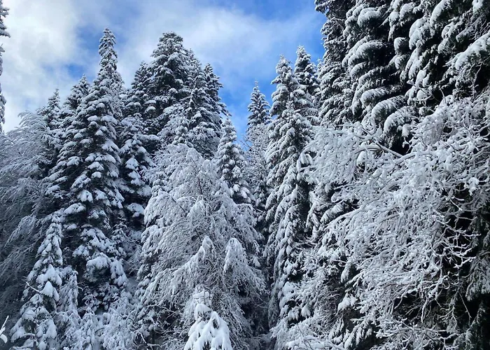Apartament 2 Personnes Avec Parking