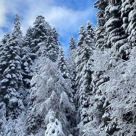 Apartment 2 Personnes Avec Parking